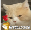 从任意密码重置到Getshell(如何找软柿子捏) 从任意密码重置到Getshell(如何找软柿子捏)