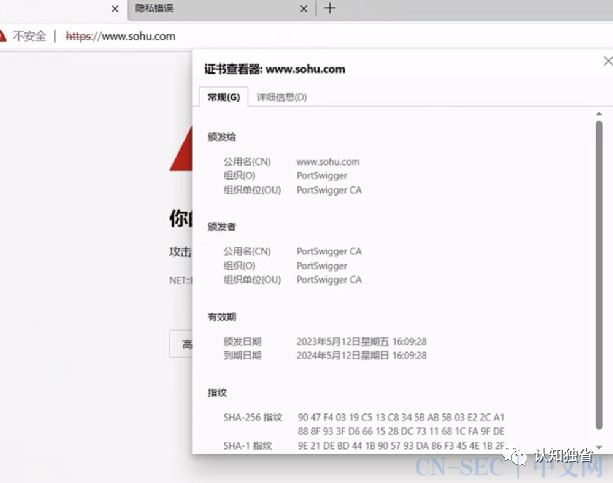 基于DoH的无特征shellcode加载器实现
