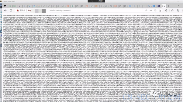 基于DoH的无特征shellcode加载器实现