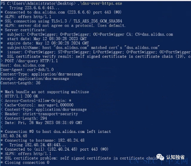 基于DoH的无特征shellcode加载器实现