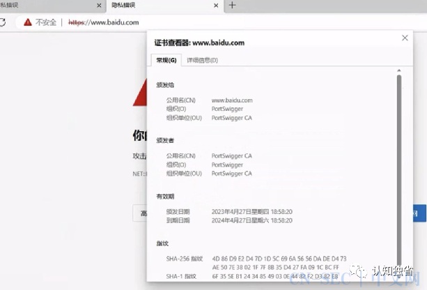 基于DoH的无特征shellcode加载器实现