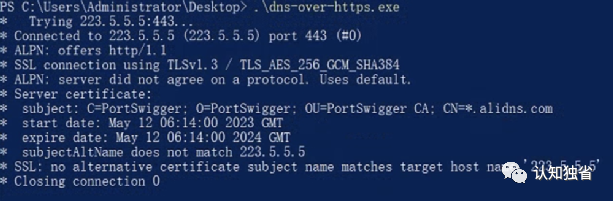 基于DoH的无特征shellcode加载器实现