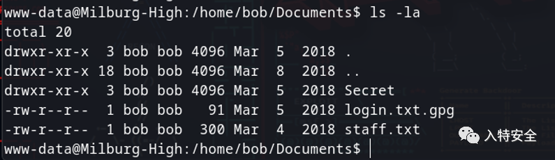 vulnhub-wp Bob 1.0.1