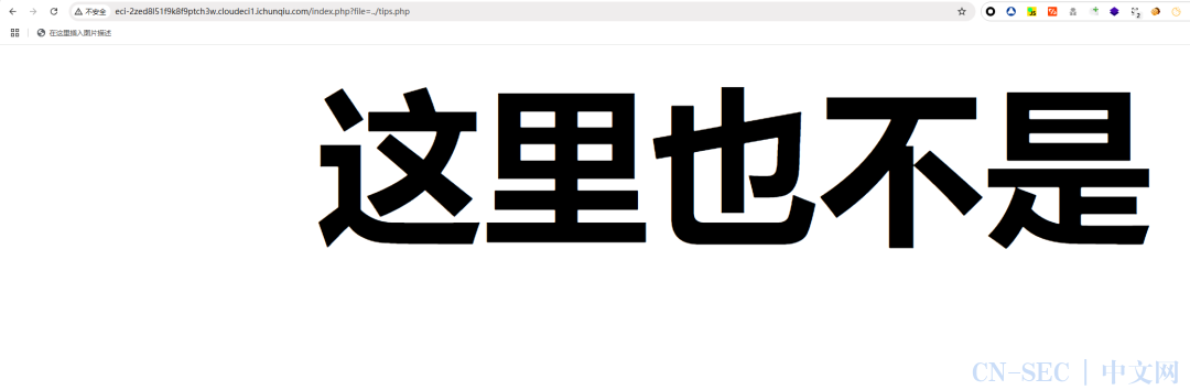 2024年长城杯Web-Re-Pwn-威胁检测与网络流量分析-题解