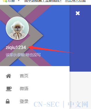 请输入图片描述