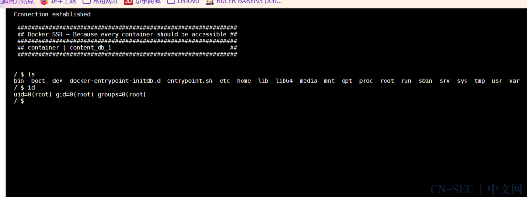 vulnerable_docker（easy）Frp、reGeorg内网穿透、docker逃逸、wpscan爆破，提权