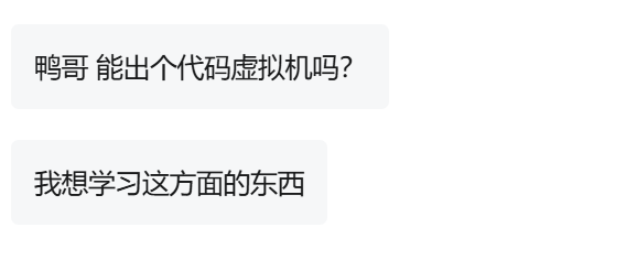 PE代码执行虚拟机详解&原理&源码
