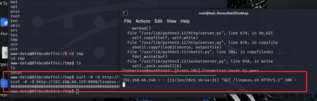 vulnerable_docker（easy）Frp、reGeorg内网穿透、docker逃逸、wpscan爆破，提权